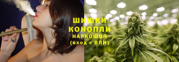 прущие грибы Магас