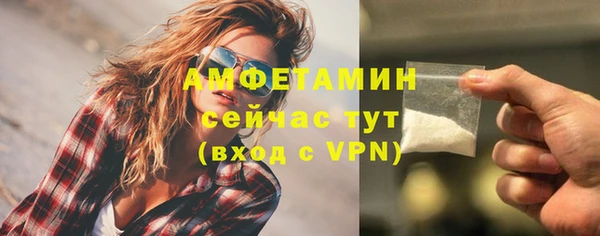 прущие грибы Магас