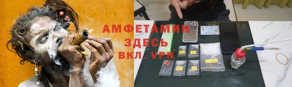 прущие грибы Магас