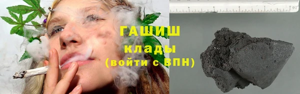 прущие грибы Магас