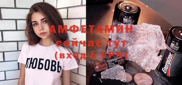 прущие грибы Магас