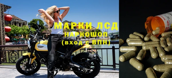 прущие грибы Магас