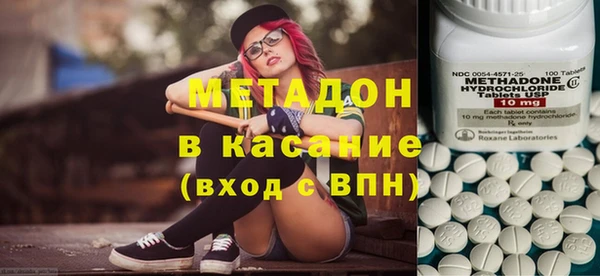 прущие грибы Магас
