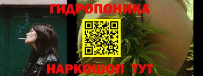 дмт Донской