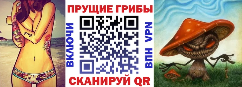 Псилоцибиновые грибы прущие грибы  наркошоп  Мариинск 