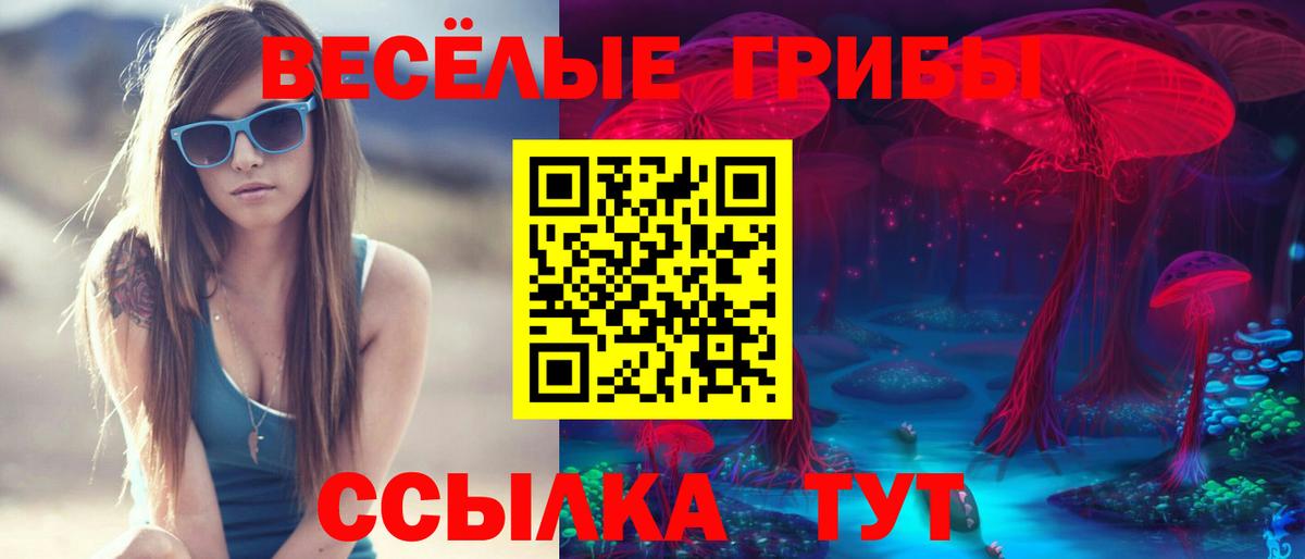 Галлюциногенные грибы мухоморы Мариинск