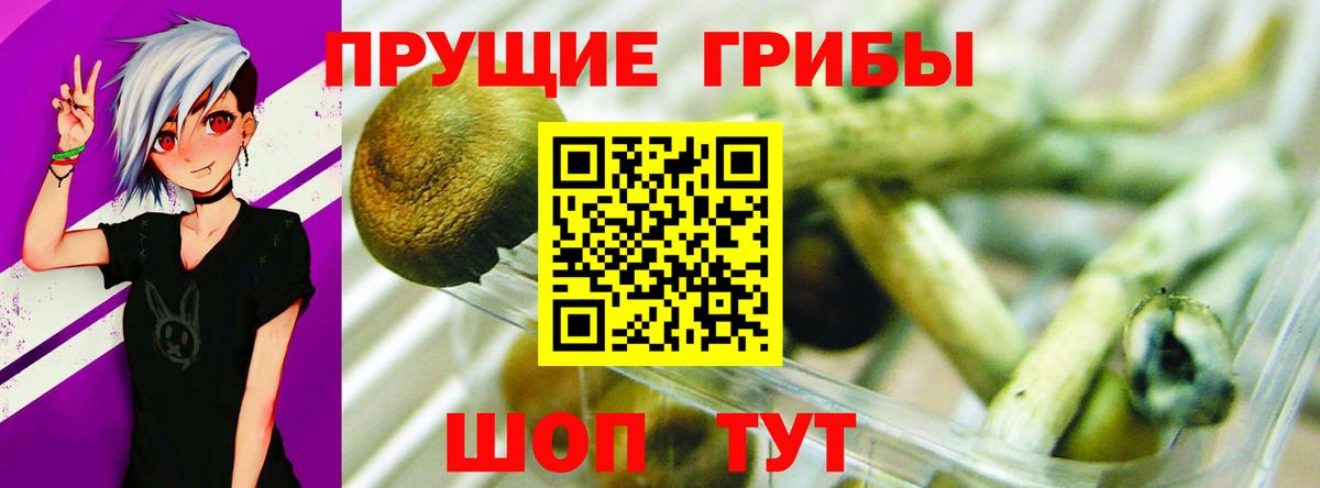 Мариинск  Псилоцибиновые грибы ЛСД  Вход с VPN  Псилоцибиновые грибы Psilocybine cubensis 